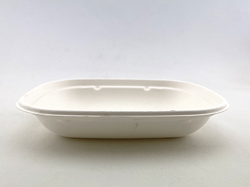 Bio-Familien-Packung Bagasse 6weiß oval 220x165x35h 