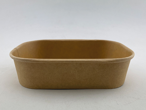 Bio-Familien-Packung Kraft 50017,3x12x4cm 