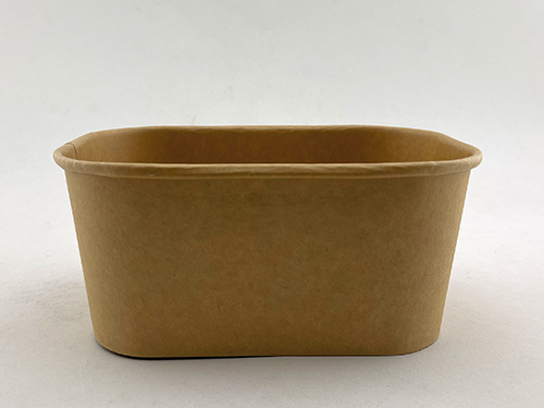 Bio-Familien-Packung Kraft 10017,3x12x7,5cm 